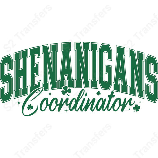 Shenanigans Coordinator - DTF Transfer DTF Transfer