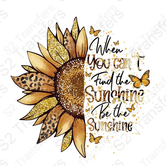 When You Can't Find The Sunshine Be The Sunshine