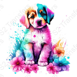 Colorful Dog