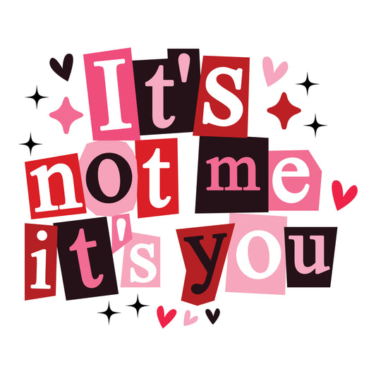 It's Not Me It's You – DTF Transfer