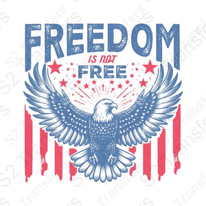 Freedom Is Not Free Vintage