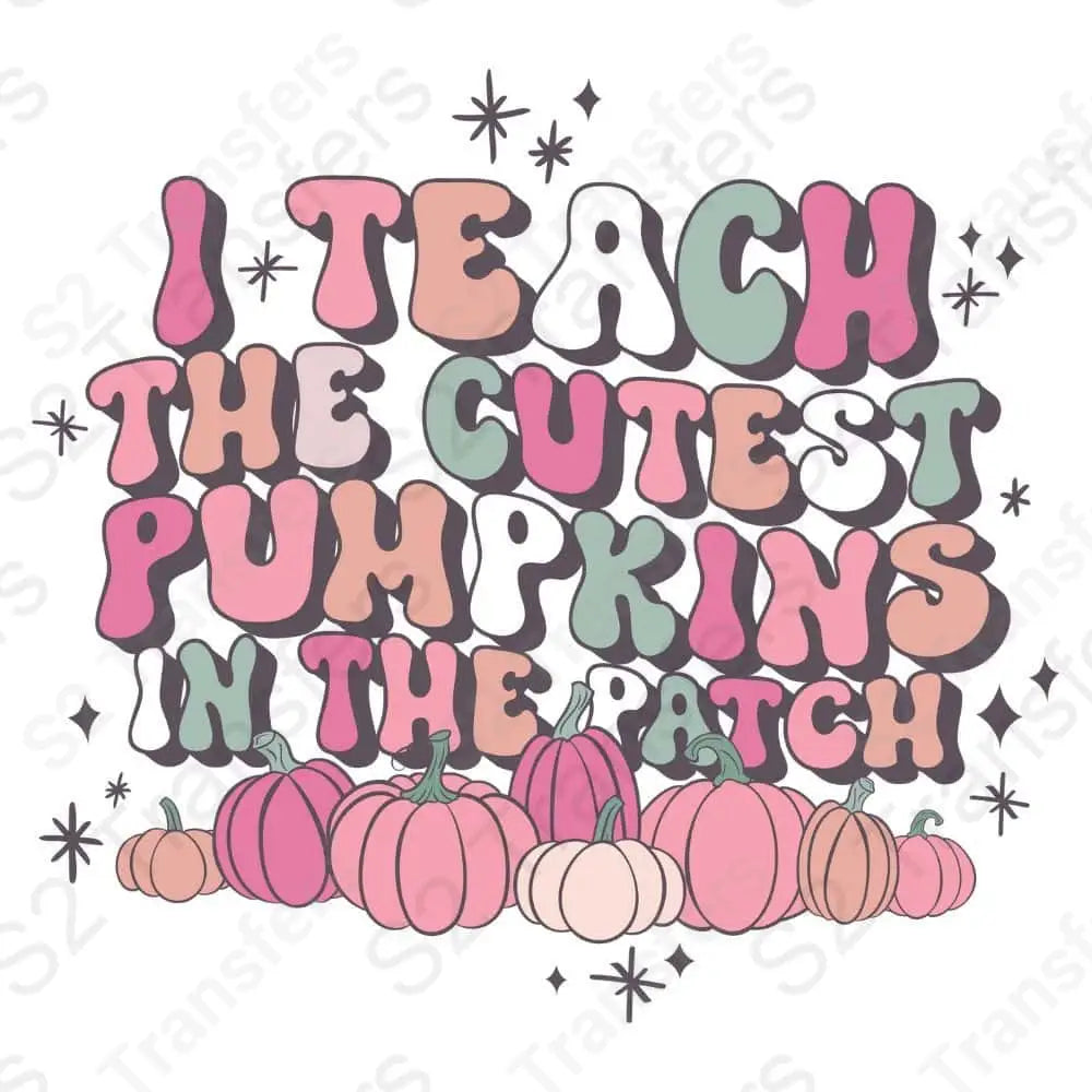 I Teach The Cutest Pumpkins