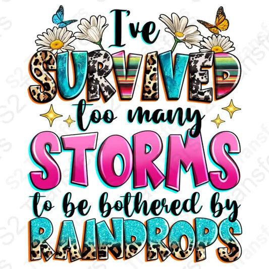 I've Survived Too Many Storms To Be Bothered By Raindrops