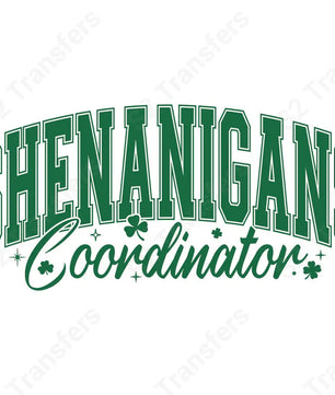Shenanigans Coordinator - DTF Transfer DTF Transfer