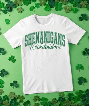 Shenanigans Coordinator - DTF Transfer DTF Transfer